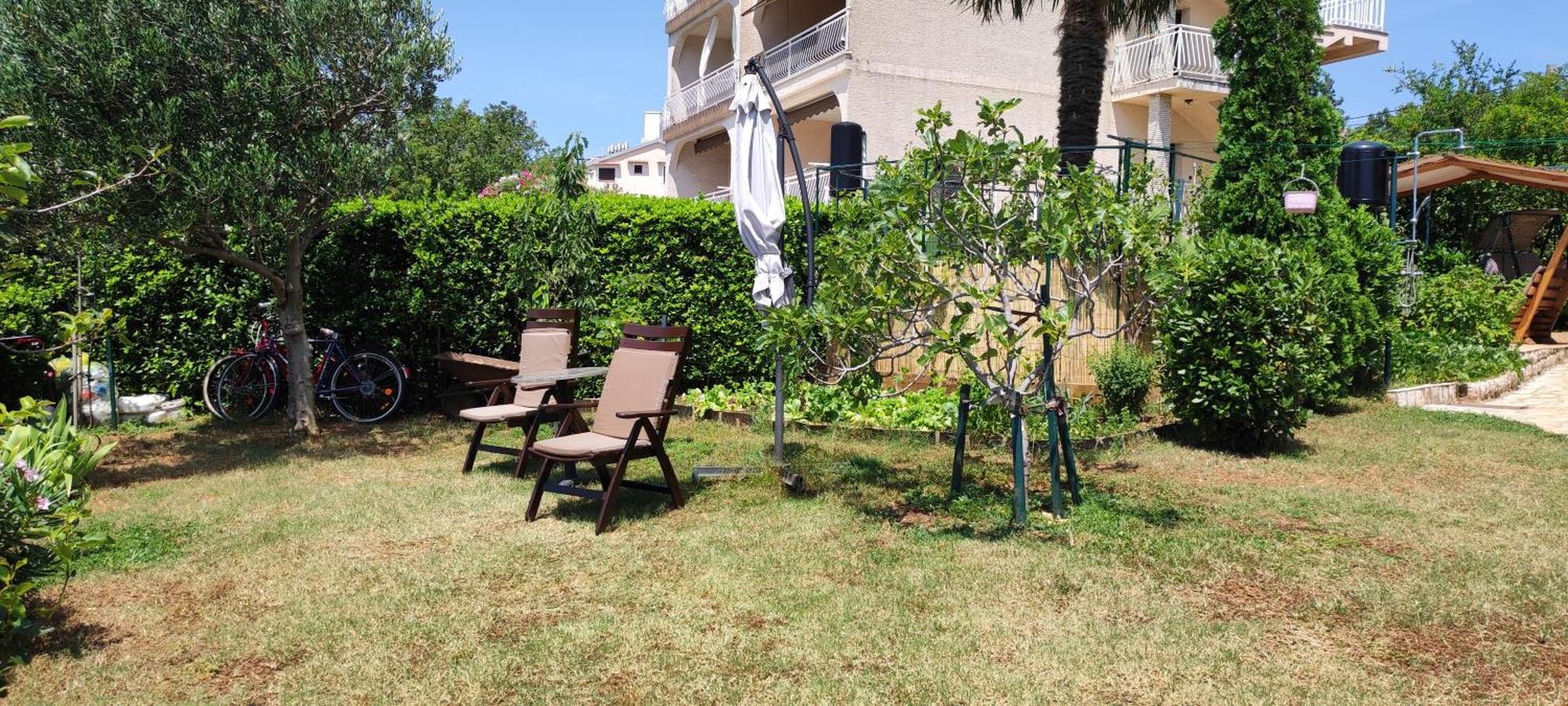 Apartments Svjeta Jadranovo Dış mekan fotoğraf